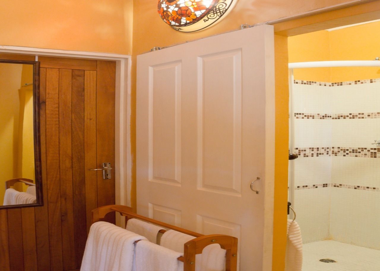 A bathroom with a wooden door, a mirror, a shower with mosaic tiles, and a towel rack.