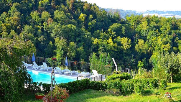 Una piscina rodeada de exuberante vegetación y una colina al fondo.