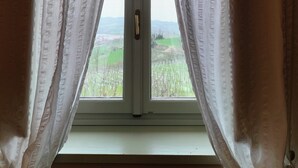 Una ventana con cortinas blancas y vista a un paisaje verde.
