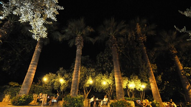 A nighttime outdoor setting with palm trees and people sitting on benches. - Queen Bee Hotel (Selçuk)