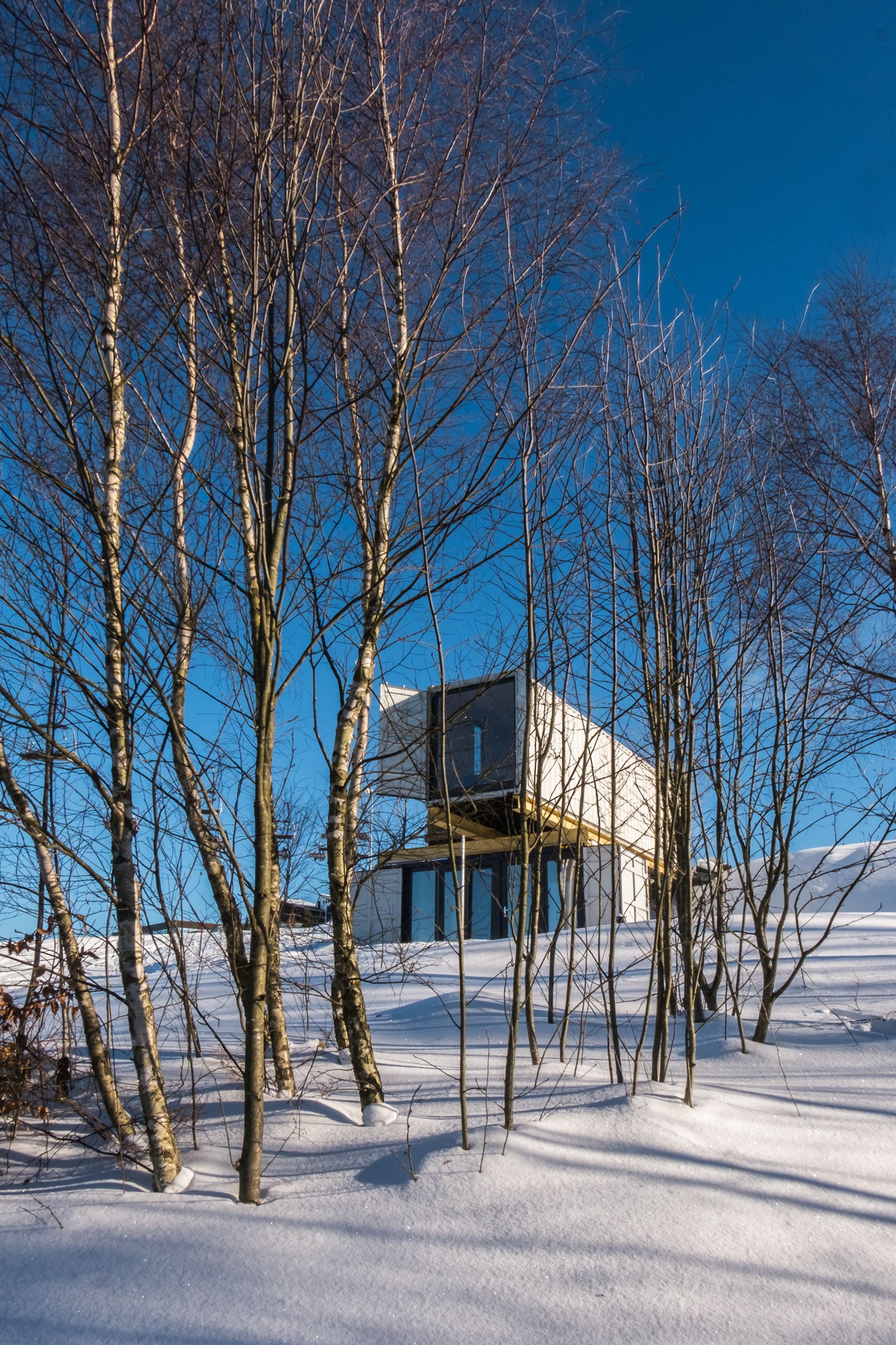 A snow-covered landscape with leafless trees and a modern building with a flat roof.
