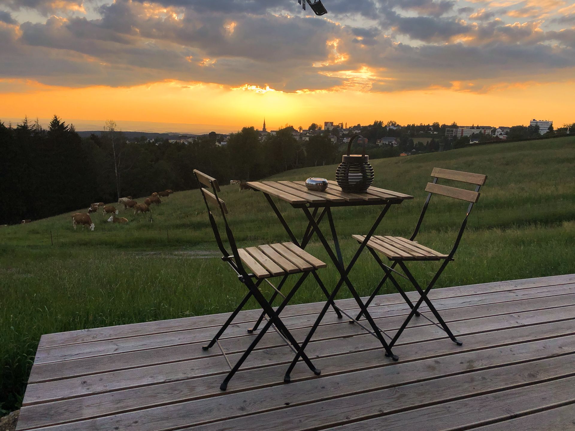 Een houten terras met een tafel en stoelen, met uitzicht op een grasveld met koeien.