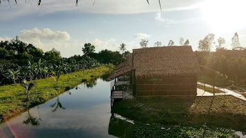 Vista desde la habitación