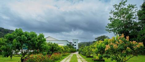 تصميم المبنى