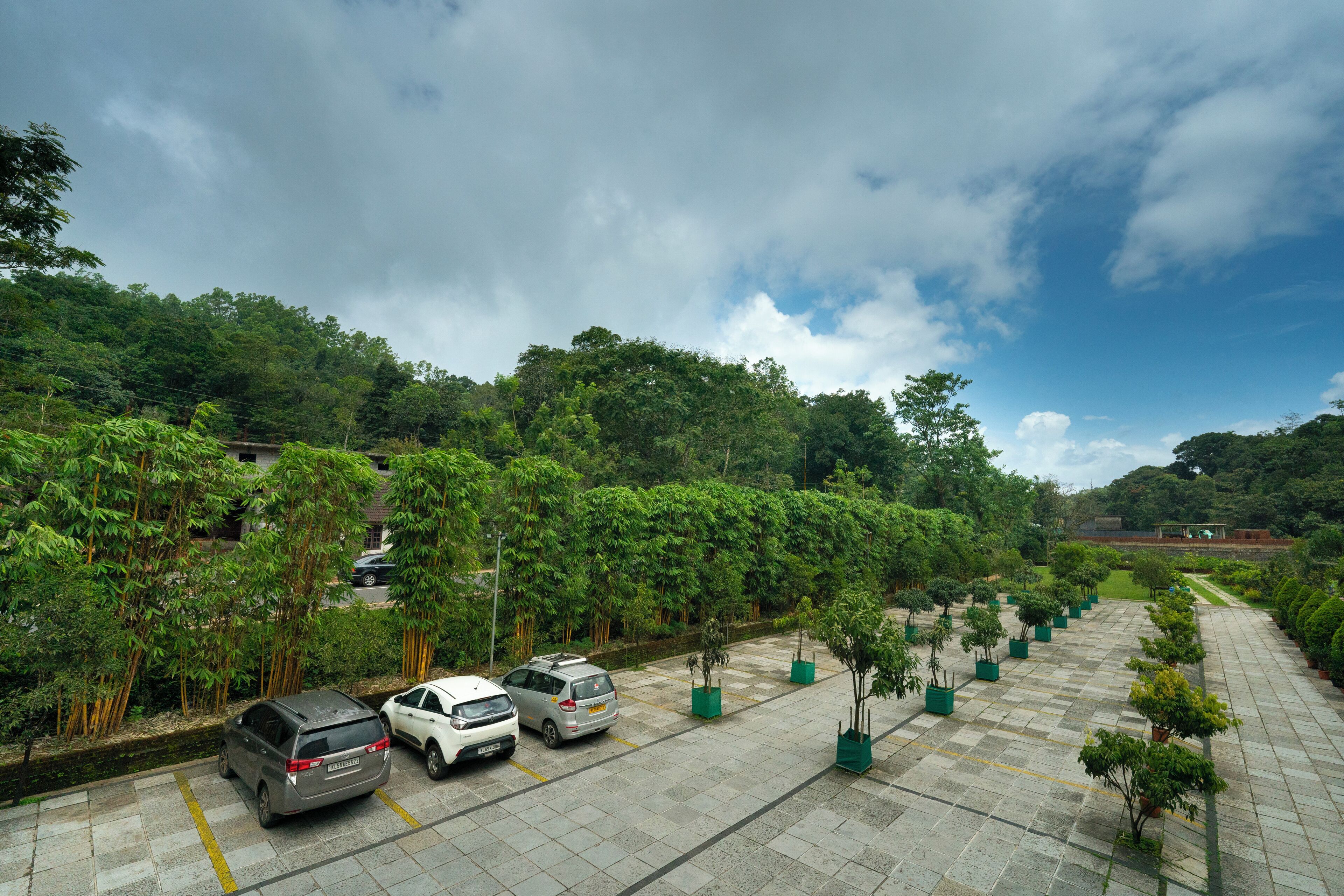 Un estacionamiento con varios coches, rodeado de exuberante vegetación y árboles.