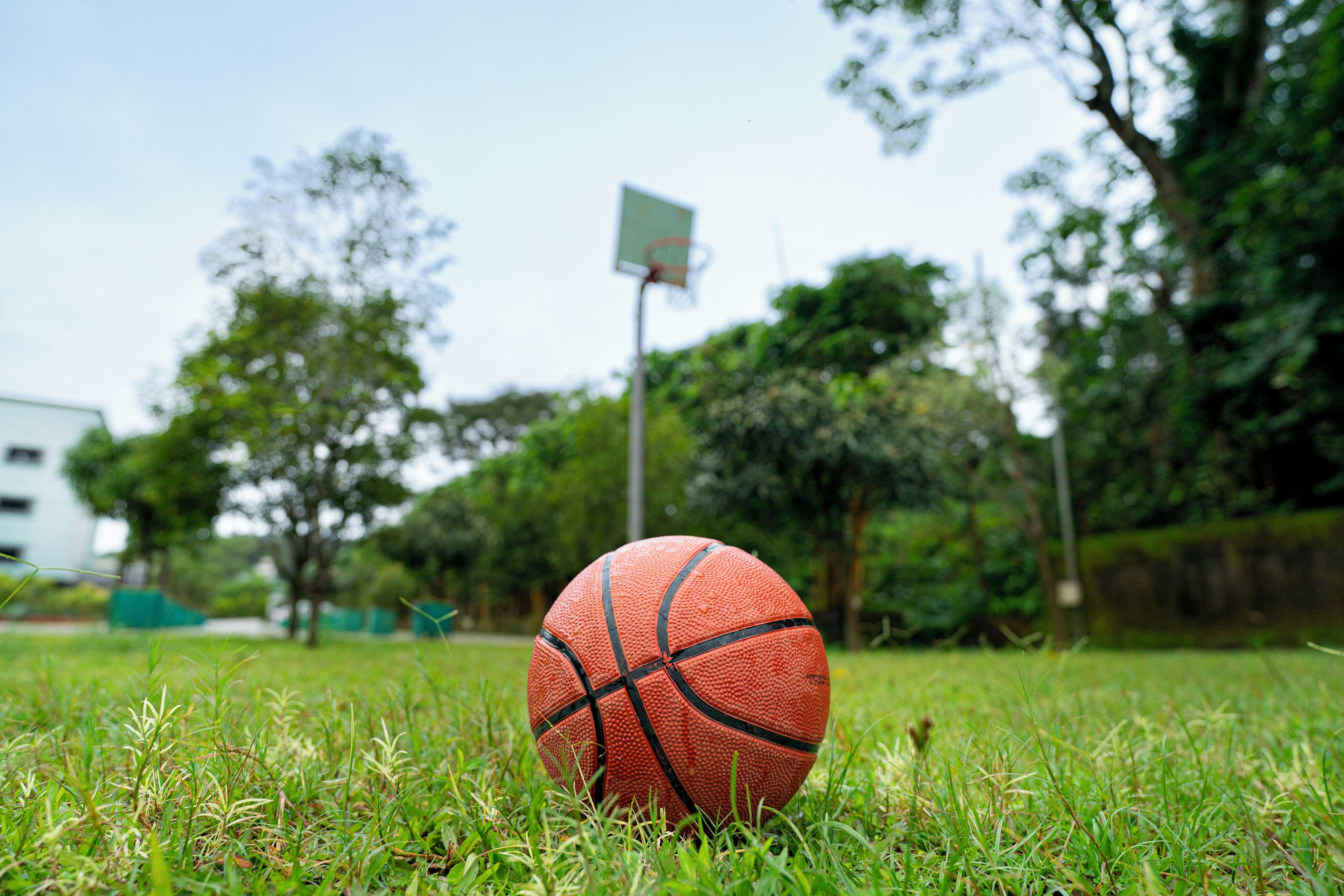 Un pallacanestro su un prato verde con un canestro da basket sullo sfondo.