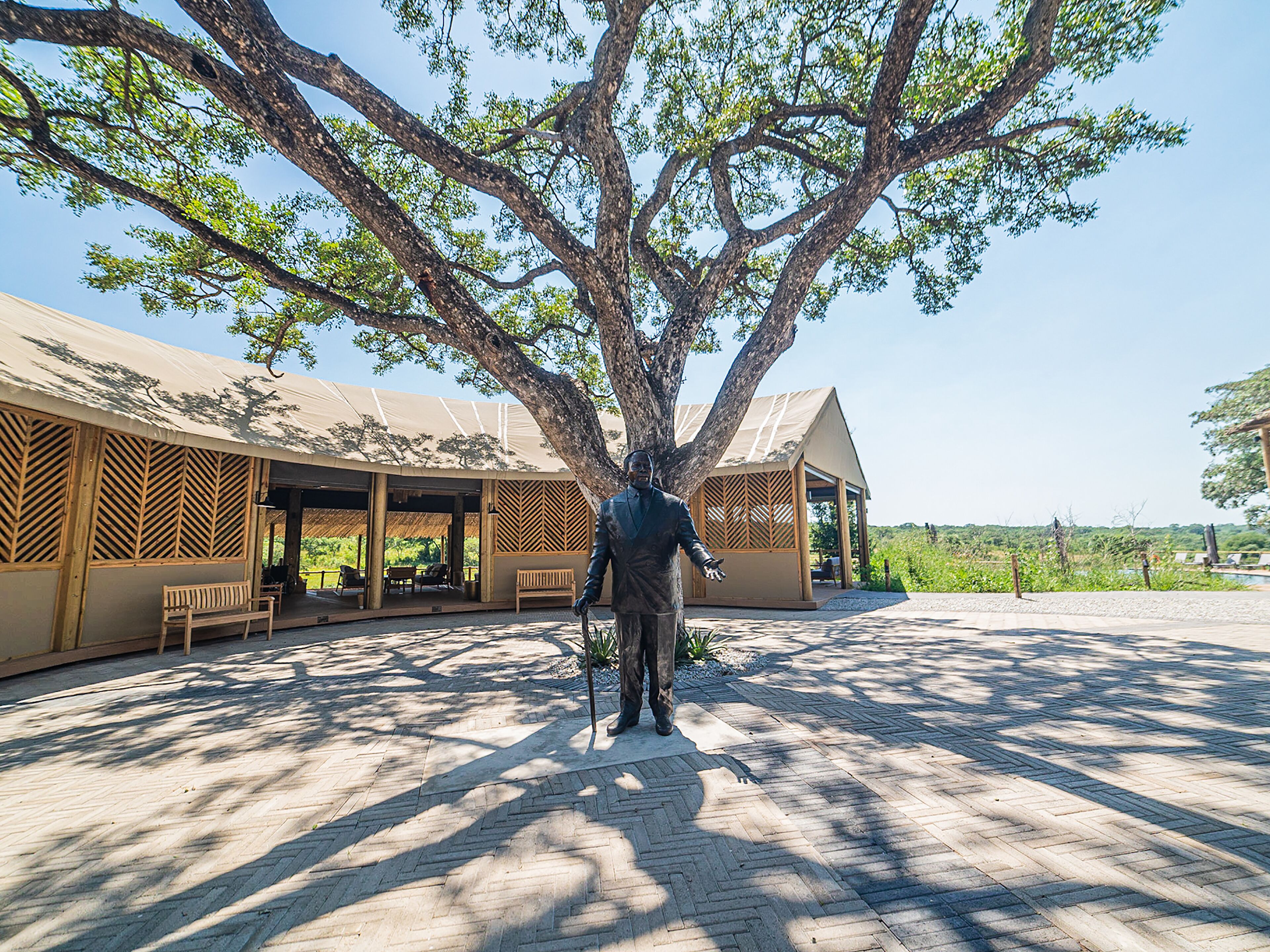 A statue of a man standing under a large tree in front of a building with a covered patio area.