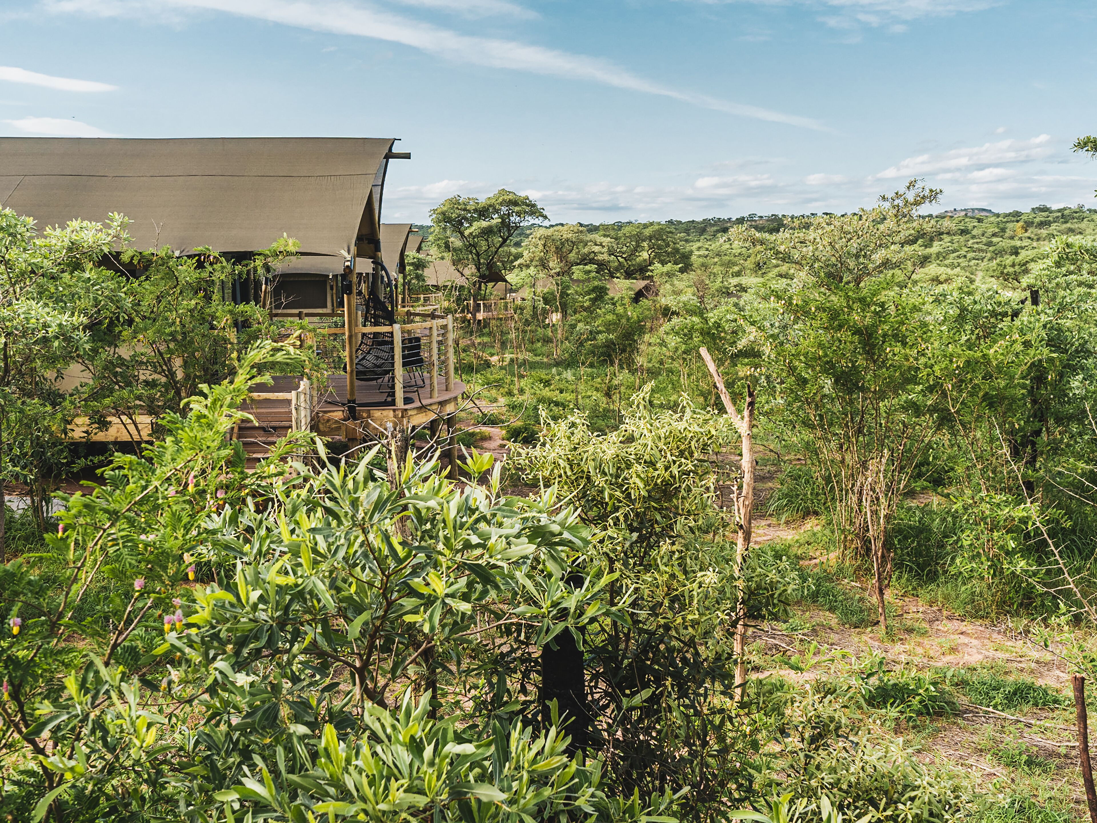 Un lodge de safari con terraza de madera y un amplio toldo.
