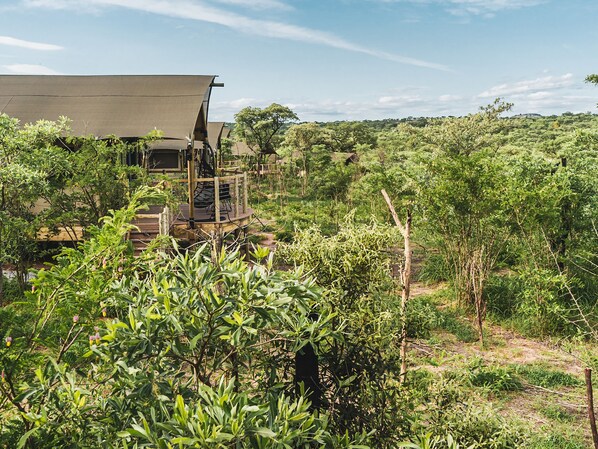 Un lodge de safari doté d’une terrasse en bois et d’une grande véranda.