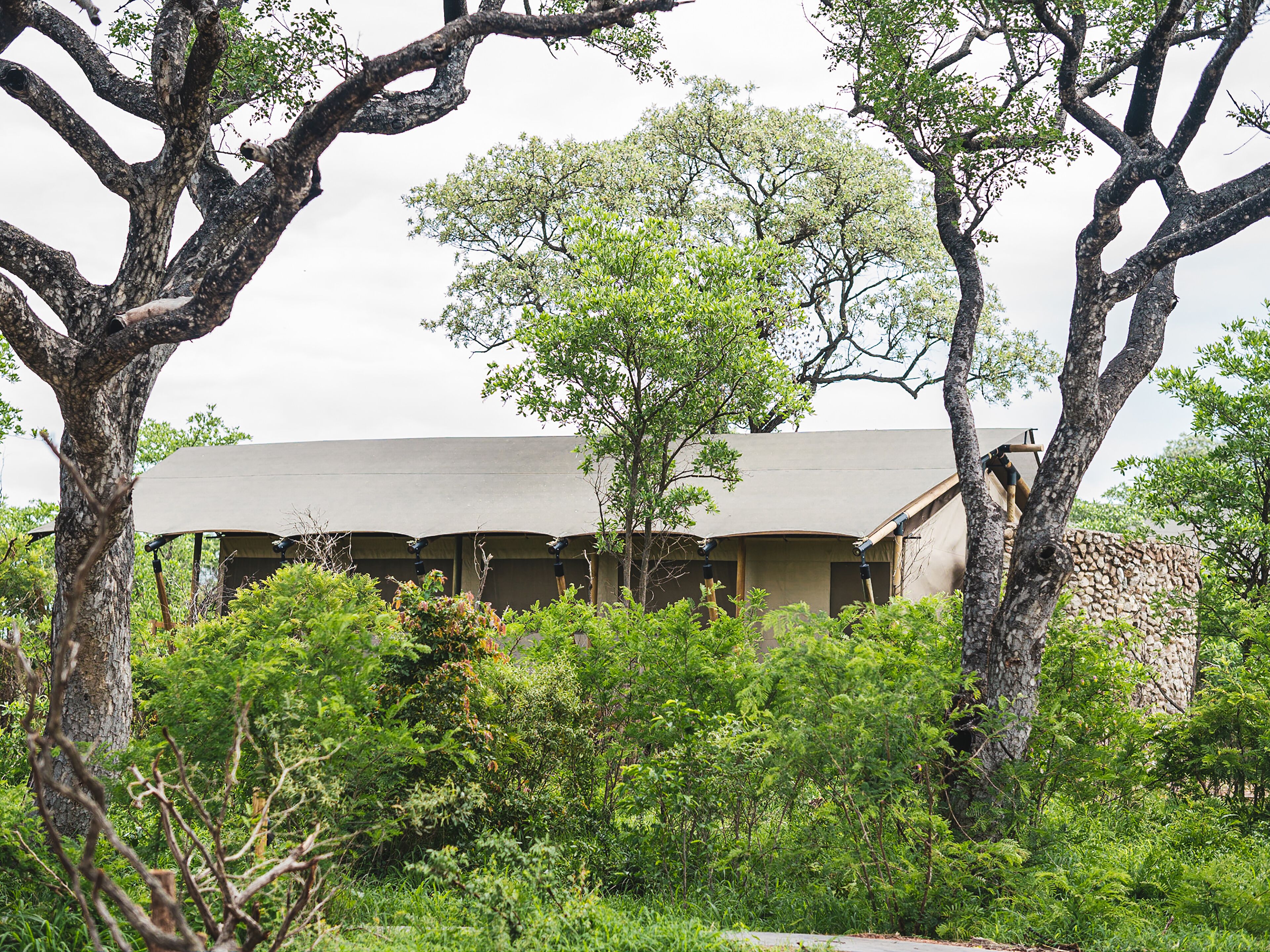 A building with a flat roof and multiple windows, surrounded by dense greenery and trees.