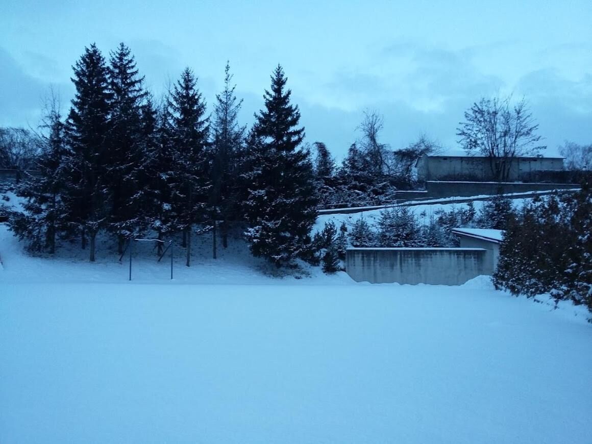 A snowy landscape with evergreen trees and a concrete structure.