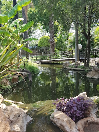 Jardín. Lions Guesthouse