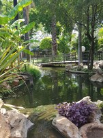 Jardín