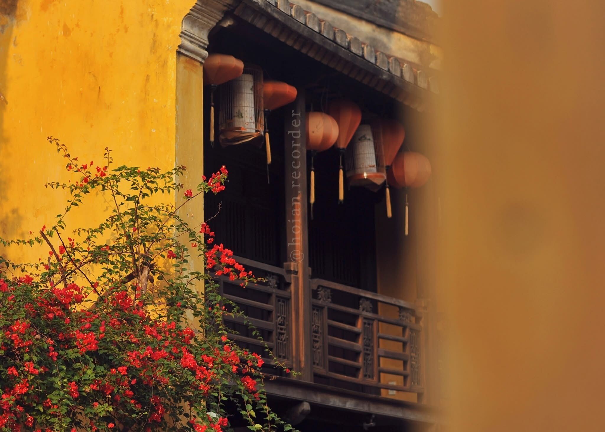 Foto - Gold Stone Hoi An Homestay