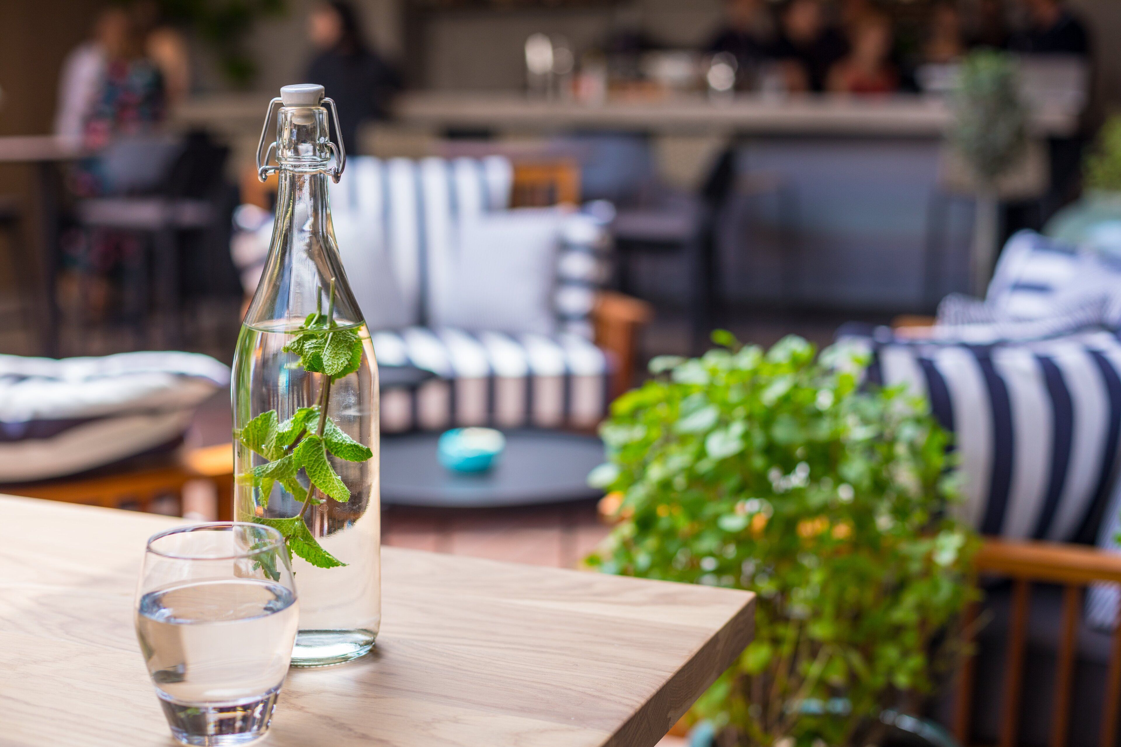 Une bouteille en verre transparent fermée par un fermoir en métal, un verre d’eau et une plante en pot, le tout posé sur une table en bois.