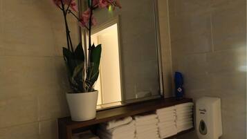 A bathroom with a white sink, a mirror, a potted orchid, and neatly folded towels on a shelf.