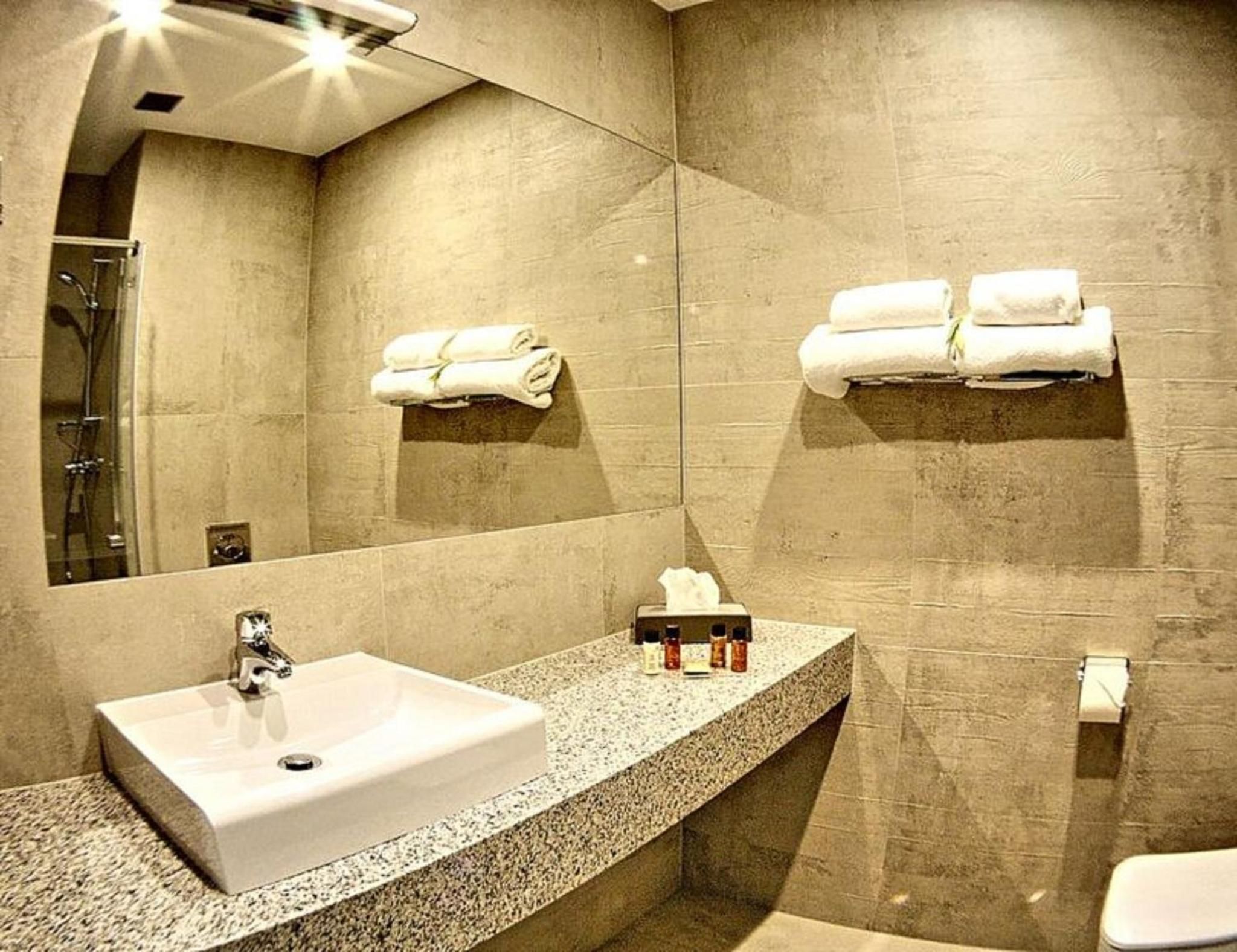 A modern bathroom with a large sink, a mirror, and two towel racks.