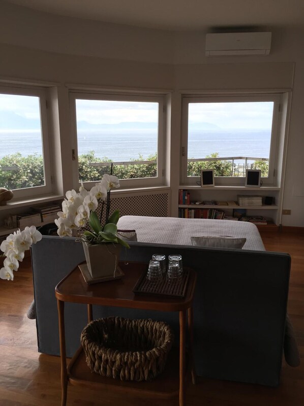 View from property - Suite 52 (Naples)