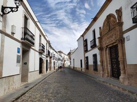 Una calle adoquinada flanqueada por edificios históricos, con balcones y detalles arquitectónicos ornamentados.