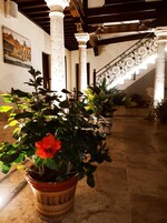 Vistas al patio