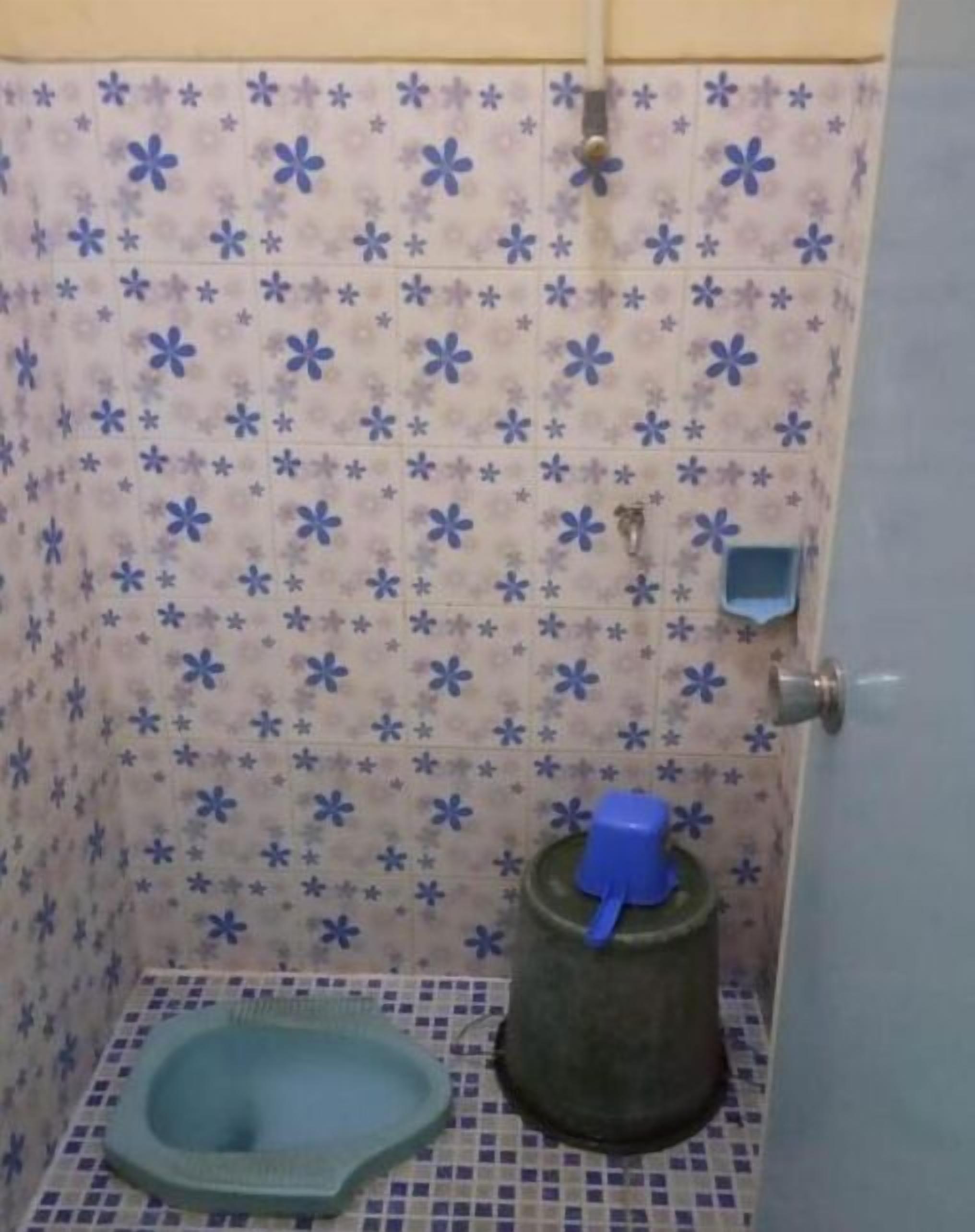 A small bathroom with a toilet, a blue basin, and a shower area with a blue showerhead.