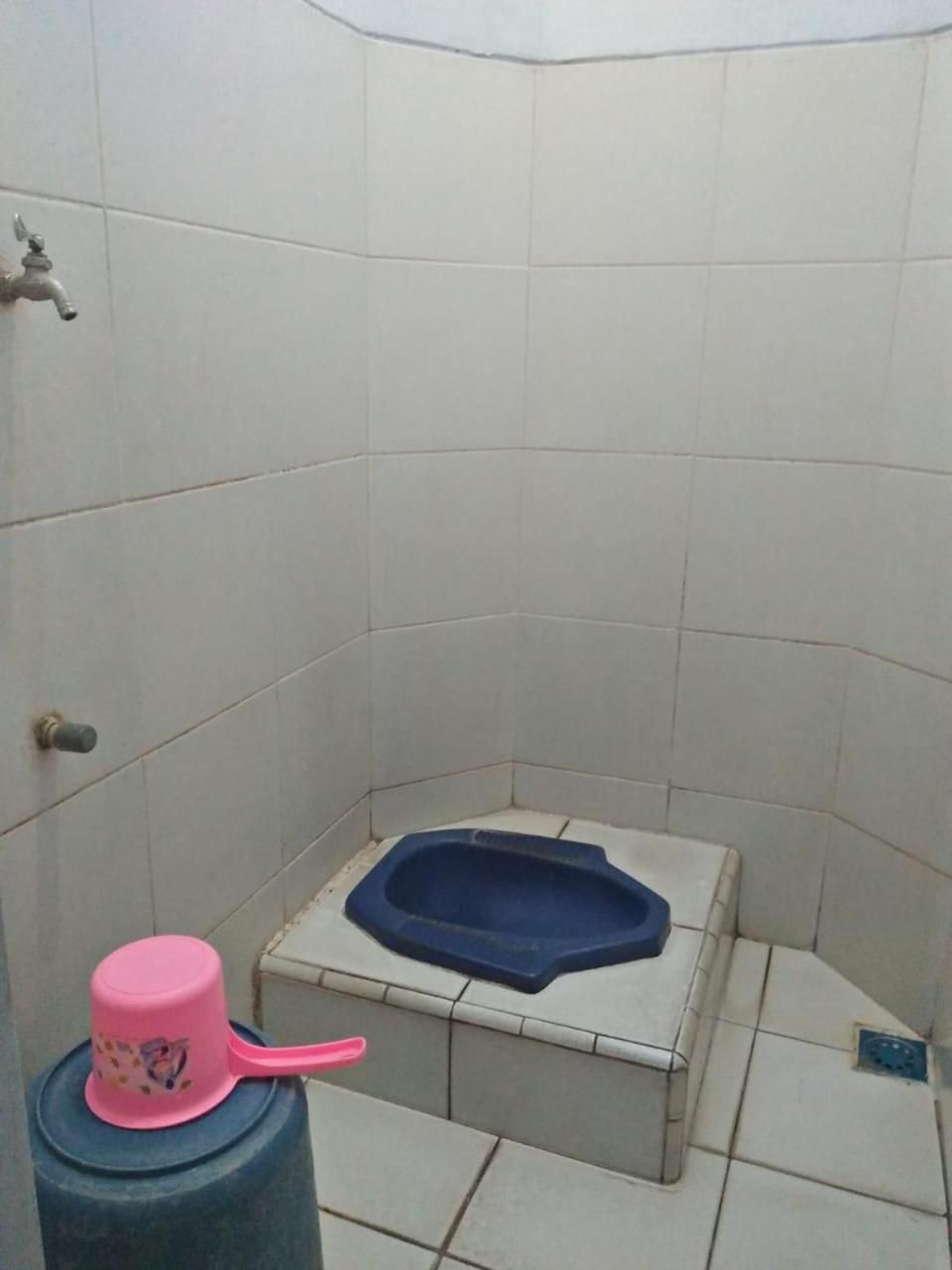 A small bathroom with a blue toilet seat, a pink cup, and a toilet paper holder on a wall.