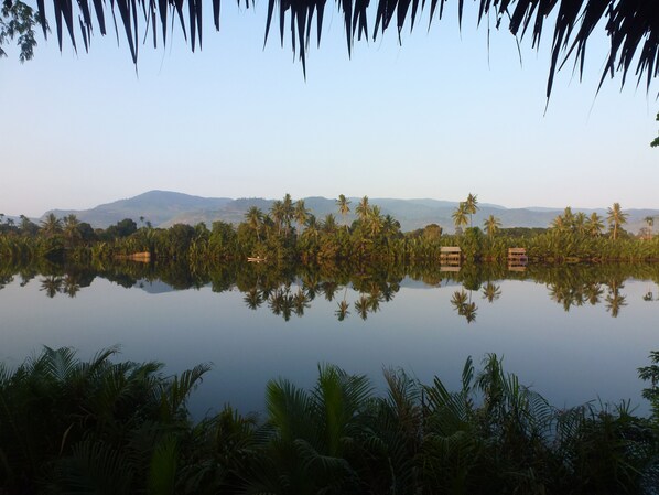 A serene lakeside view with palm trees and a small wooden structure reflecting on the water. - Green Mango Bungalows (Kampot)