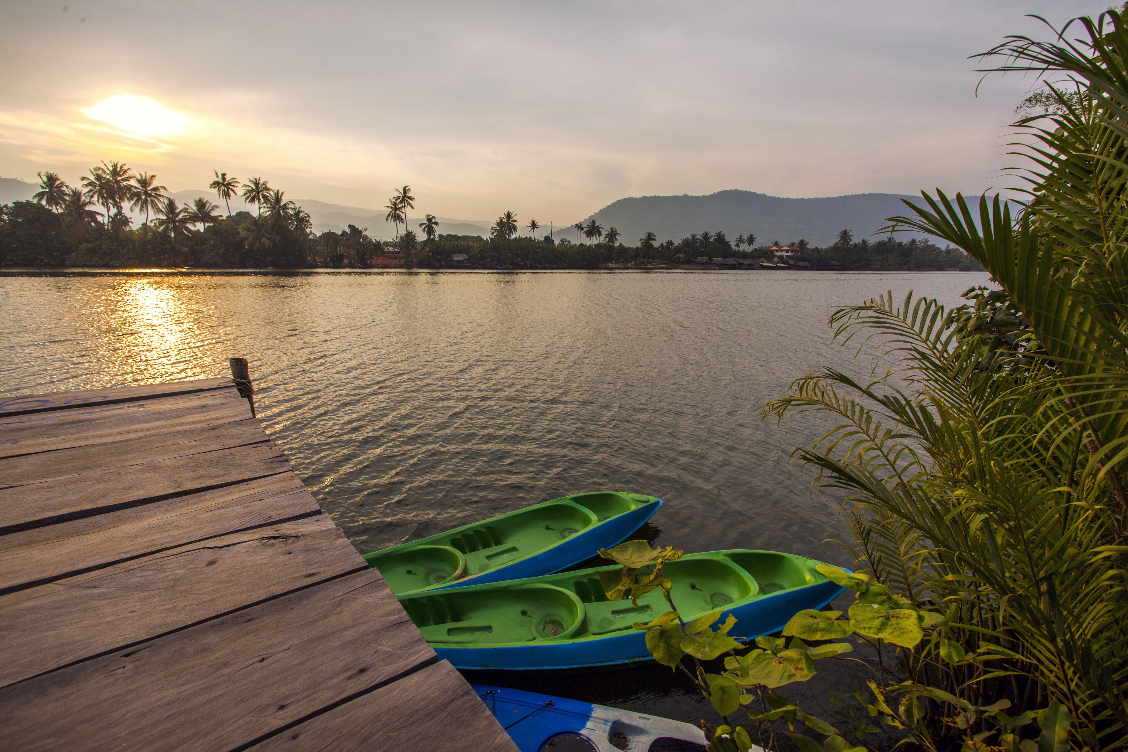 A wooden dock with two green boats moored at the edge of a calm lake, surrounded by palm trees and distant hills under a clear sky.