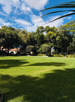 A well-maintained grassy lawn with a variety of trees and a clear sky. - Hotel Sand's San Luis Potosí (San Luis Potosi)