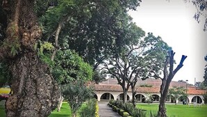 A pathway lined with trees and a building with arched windows in the background. - Hotel Sand's San Luis Potosí (San Luis Potosi)
