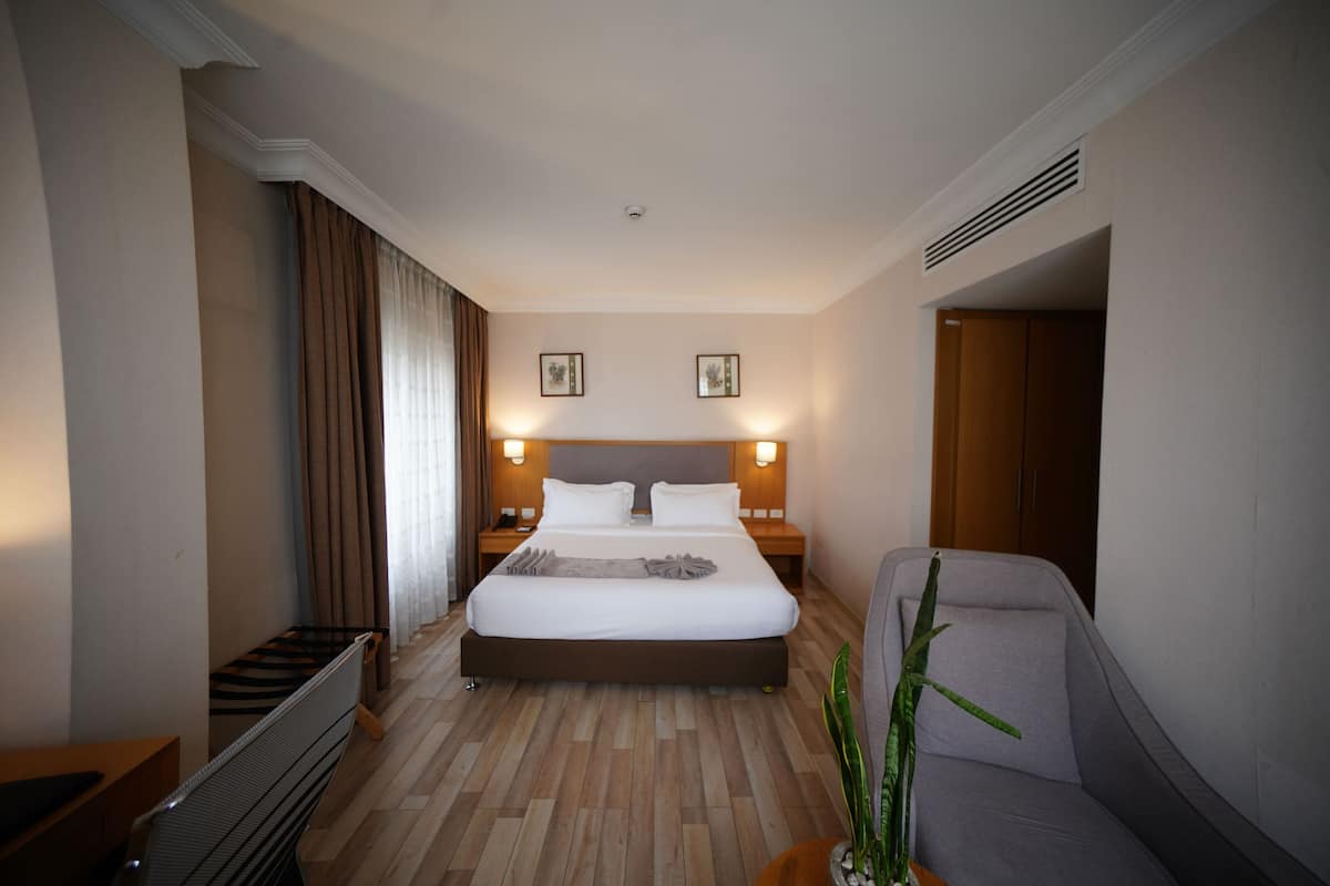Una habitación de hotel con una cama grande, un escritorio, una silla y una planta en maceta.