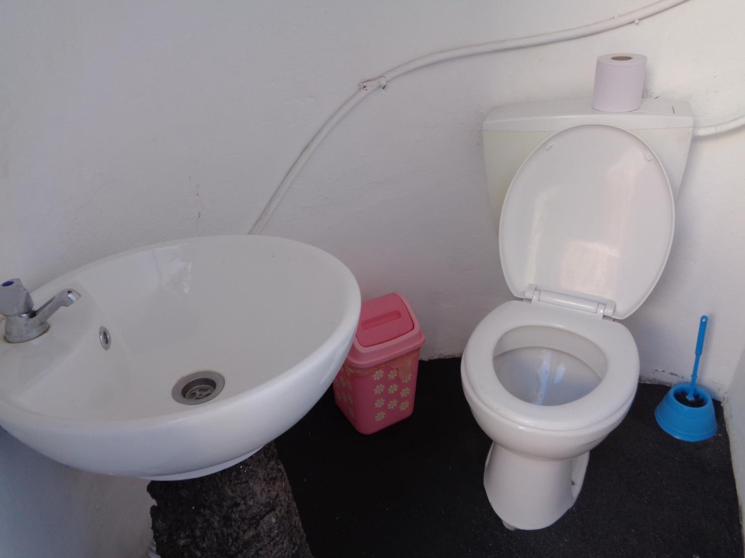 Kylpyhuone, jossa on valkoinen pesuallas, wc ja vaaleanpunainen roskakori.