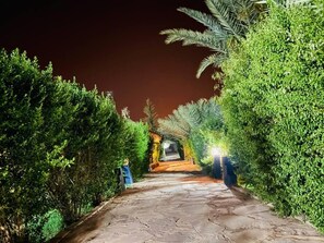 Property grounds - Paradis Touareg (Zagora)