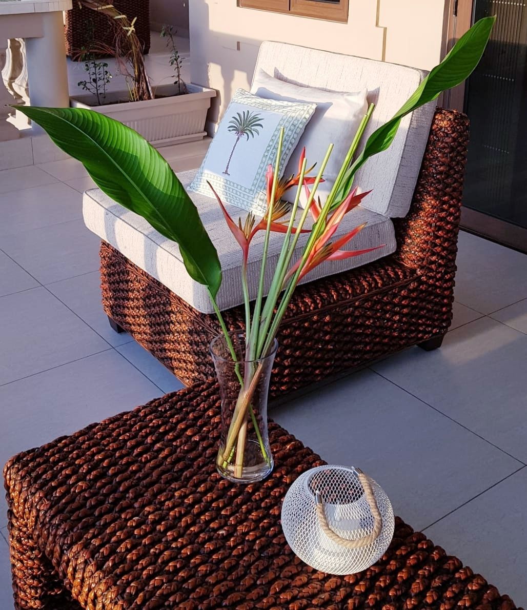 Deluxe Double Room, Sea View | Terrace/patio