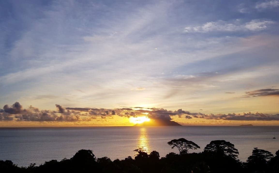A sunset over a calm sea with silhouettes of trees in the foreground.