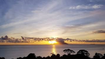 A sunset over a calm sea with silhouettes of trees in the foreground.