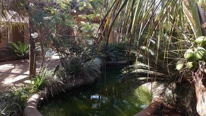 Un giardino con uno stagno, circondato da piante diverse e una costruzione con tetto di paglia.