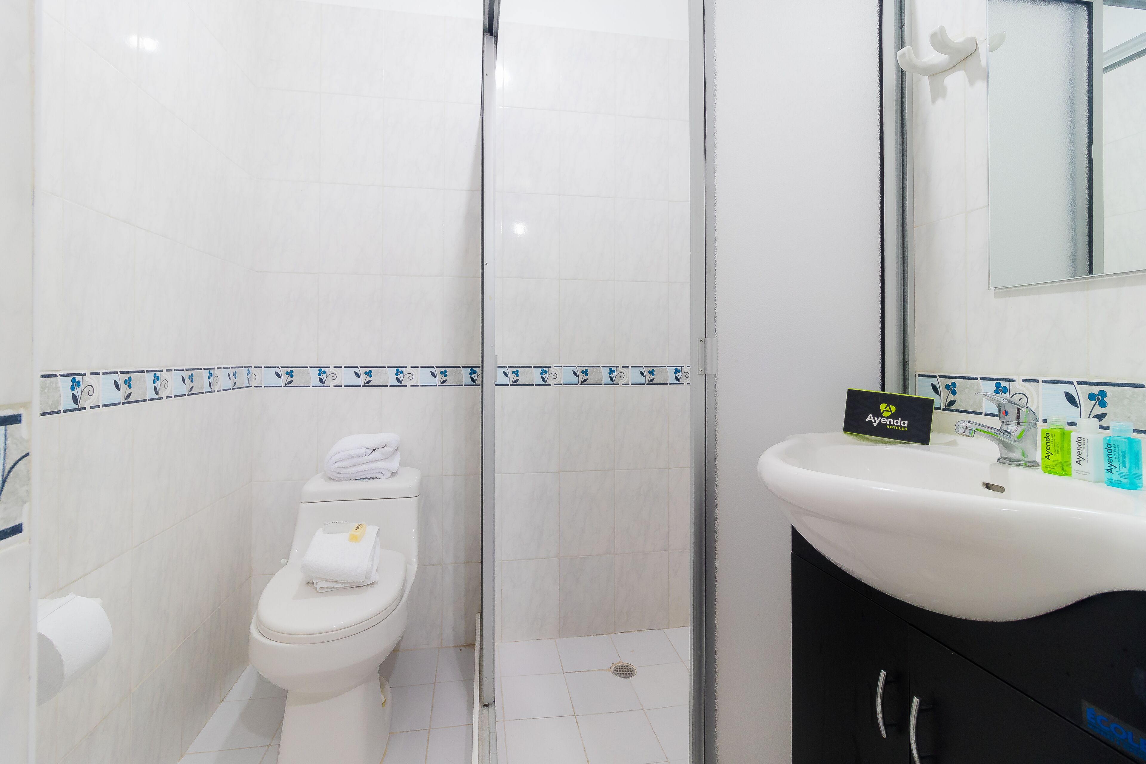 A bathroom with a toilet, a shower, and a sink with toiletries.