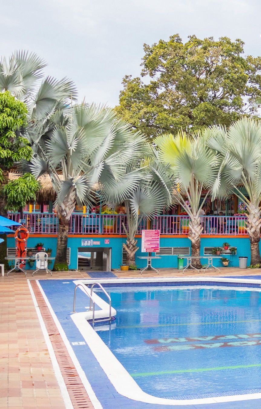 A swimming pool with a blue and white tiled edge, surrounded by palm trees and a building with a colorful facade.