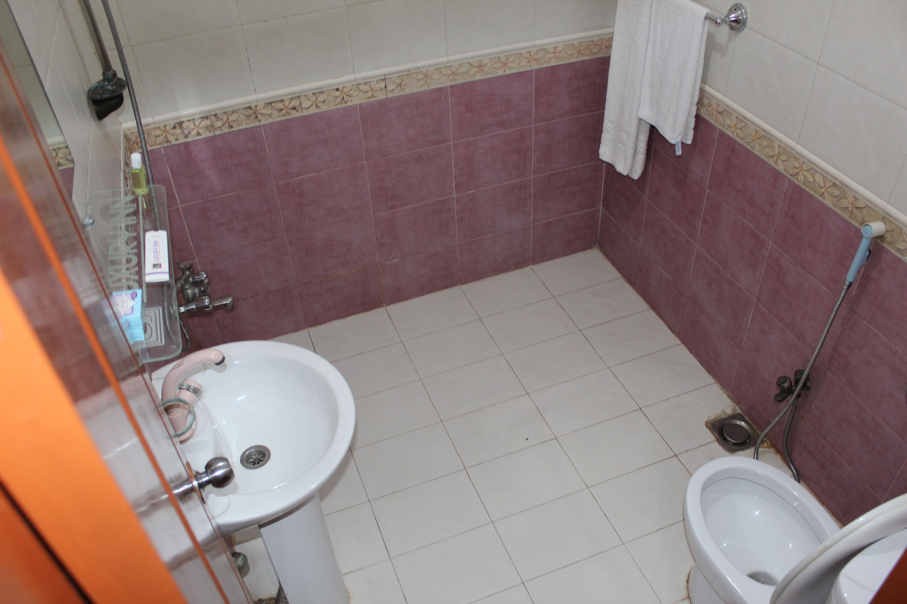Un bagno con lavandino, WC e doccia.