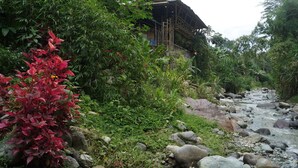 Garden - Alojamiento Rural Tupinamba (Ibagué)