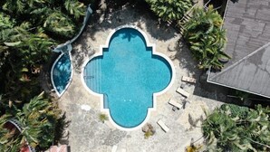 An aerial view of a swimming pool with a unique shape surrounded by palm trees and lounge chairs. - Fogo Resort (San Antonio)