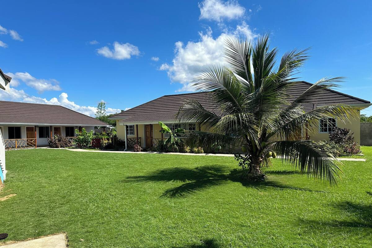A two-story house with a well-maintained lawn and a palm tree.