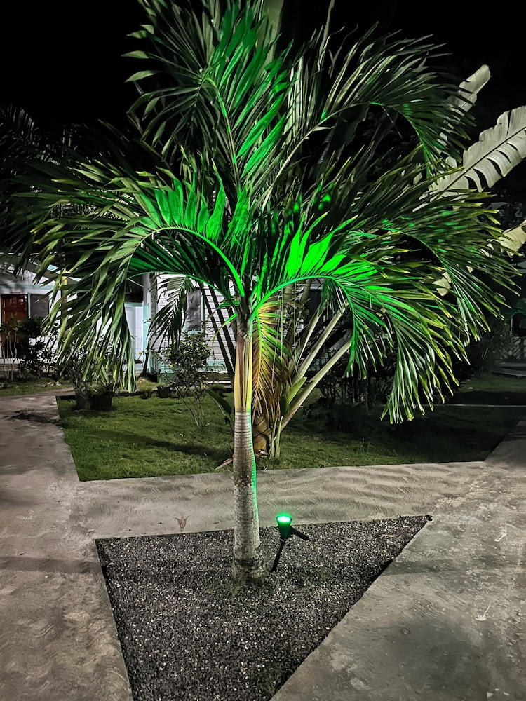 Negril Yoga Centre by null