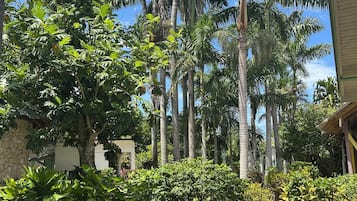 Jardín