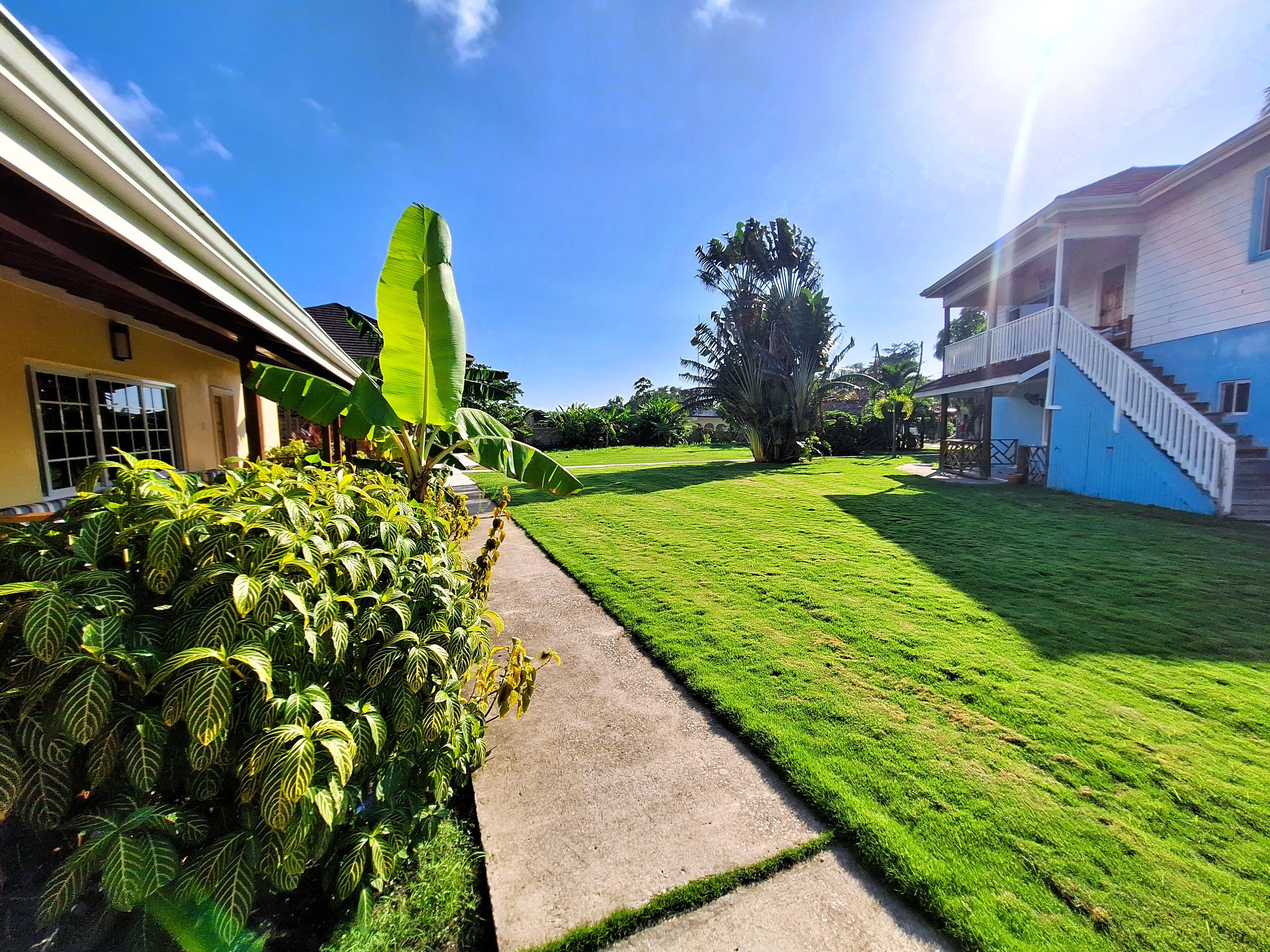 A well-maintained lawn with a pathway leading to a building with a porch and stairs.