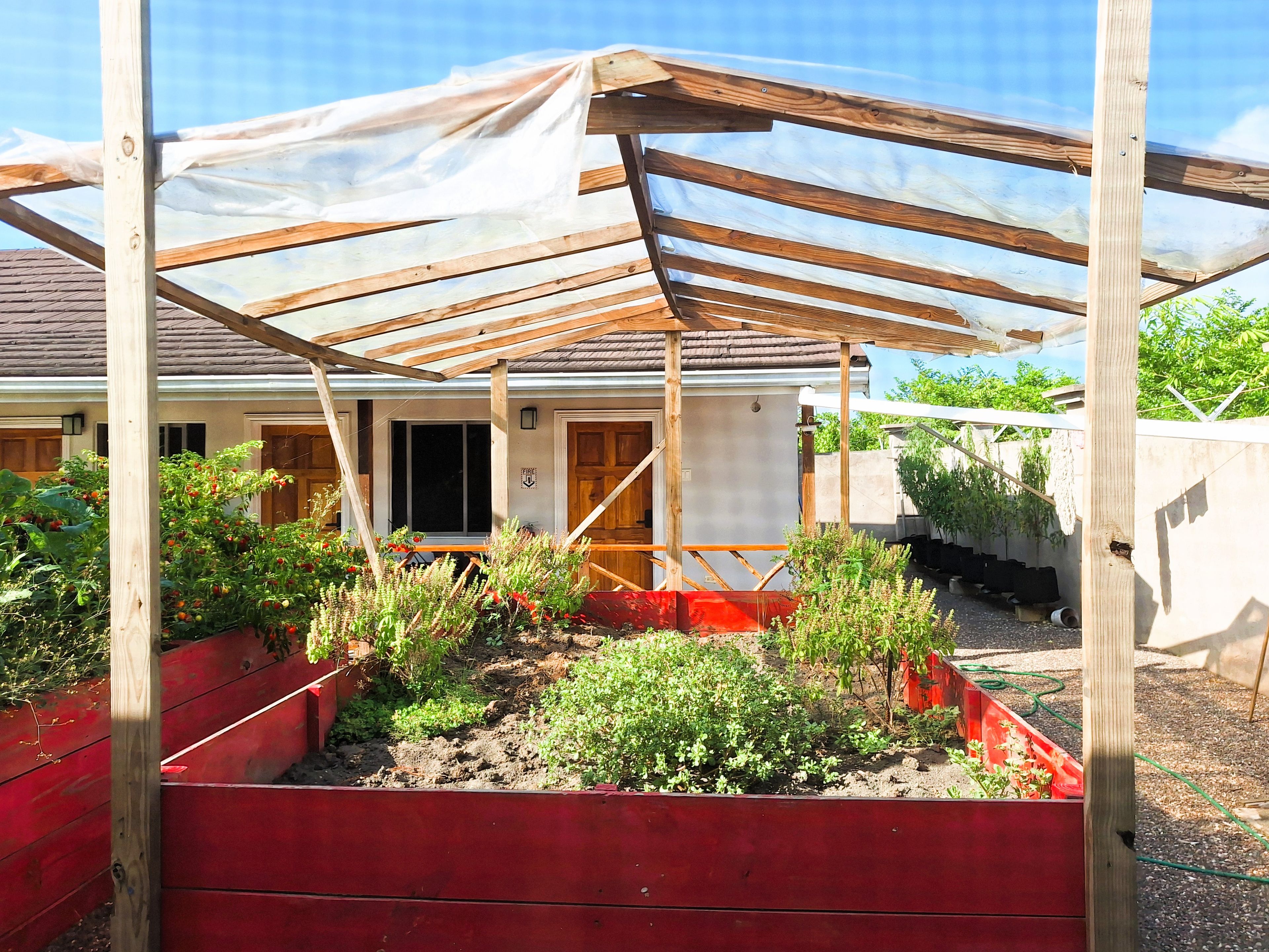 A garden with raised beds, a wooden pergola structure, and a house in the background.