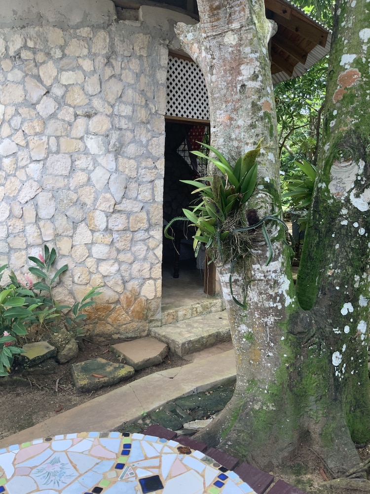 Negril Yoga Centre by null