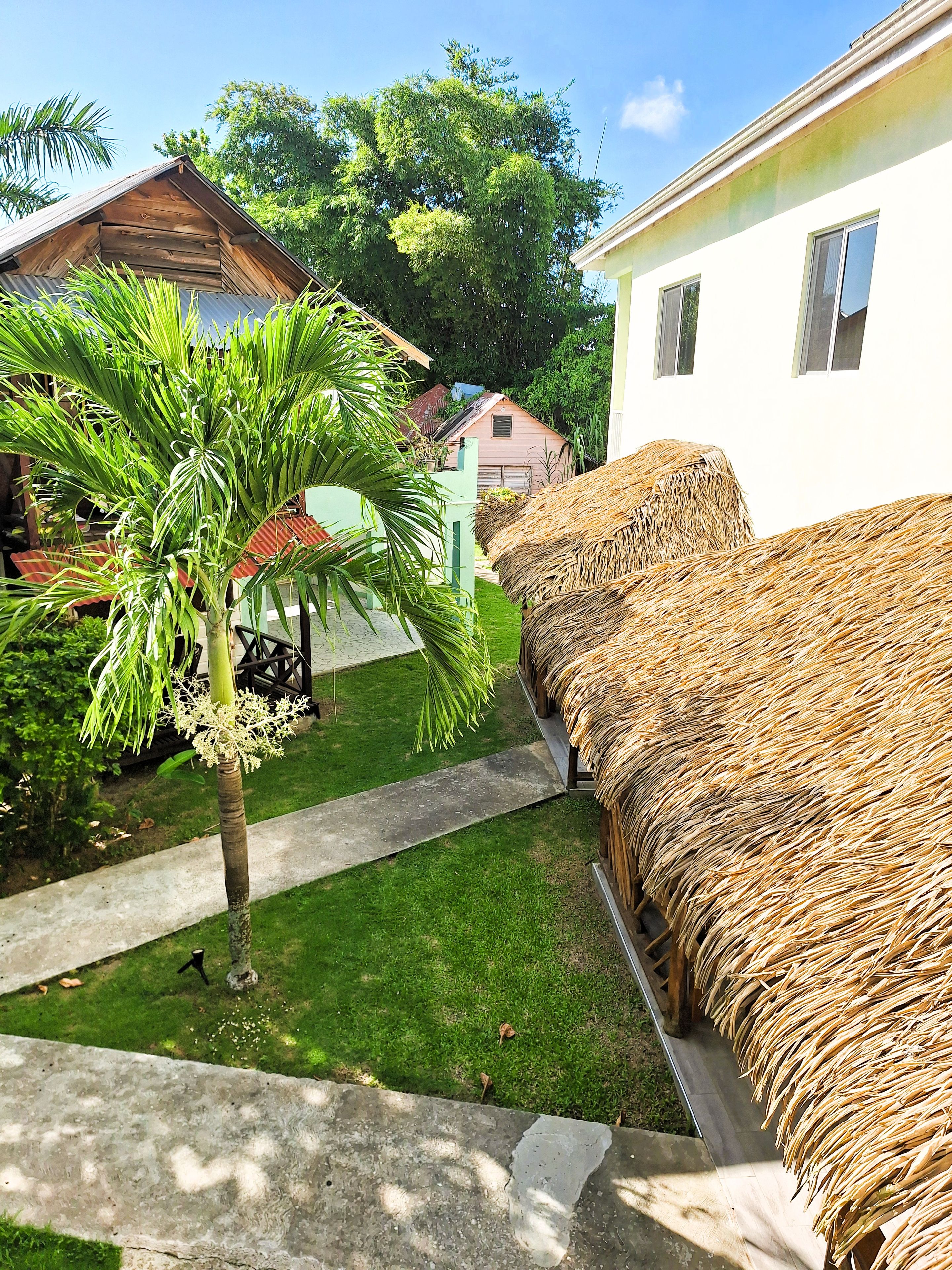 A residential area with a thatched structure and a house with a white exterior.