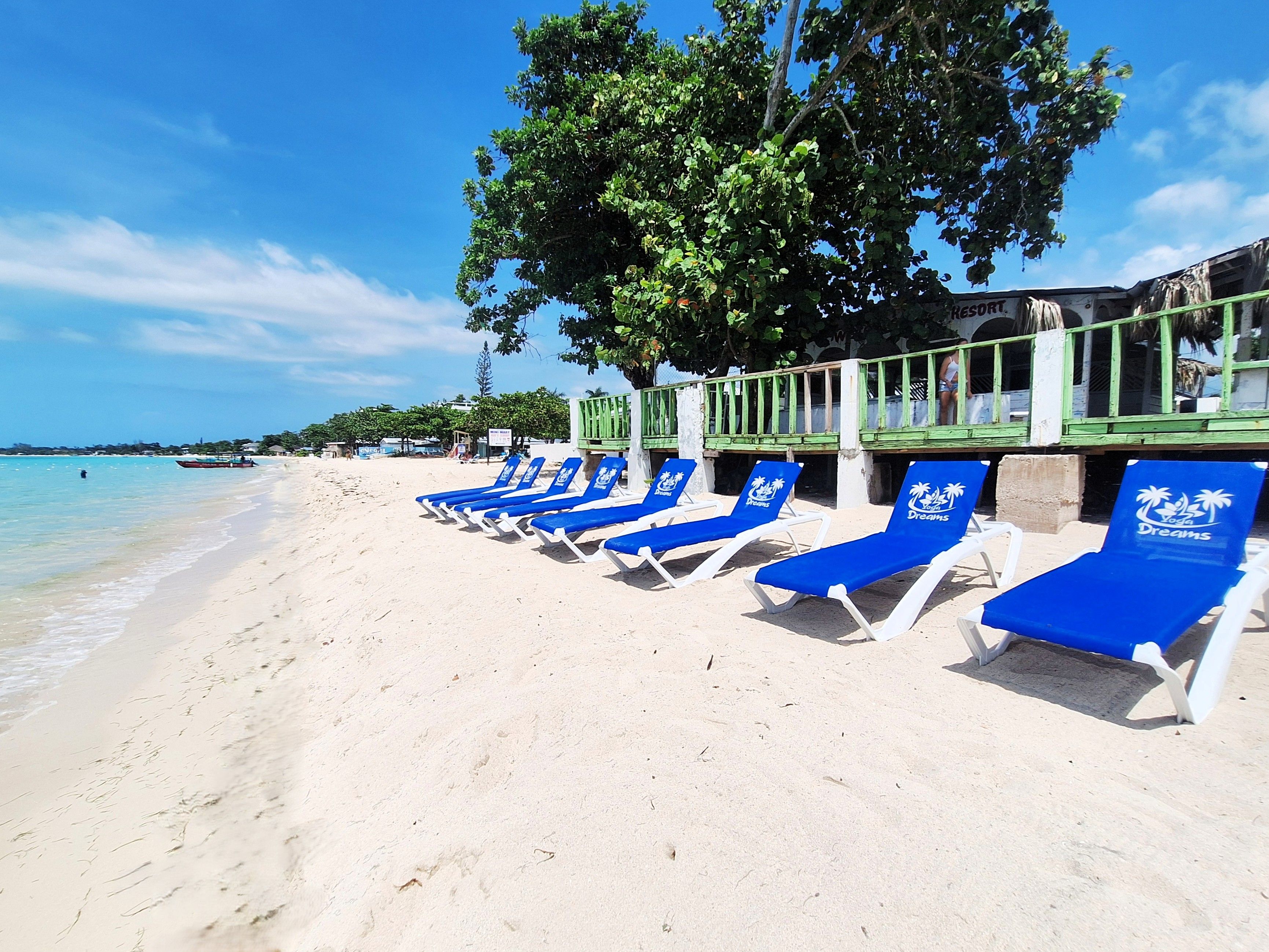 A beach with rows of blue lounge chairs and a building with a green railing.